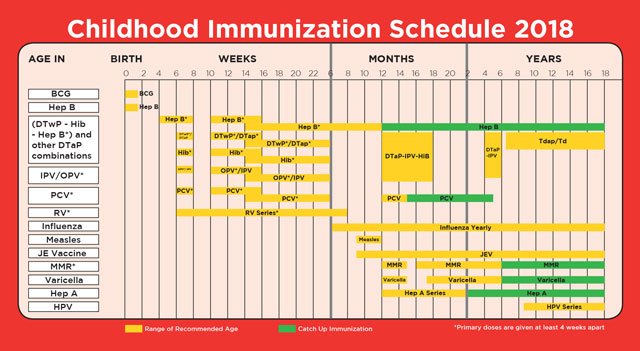 Vaccination chart for newborn baby pdf