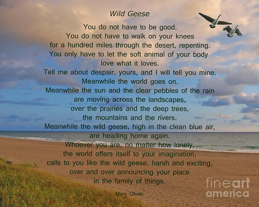 Wild geese mary oliver pdf