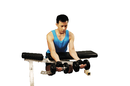 dumbbell wrist curl instructions
