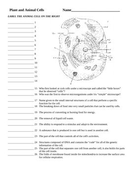 Cell structure and function test pdf