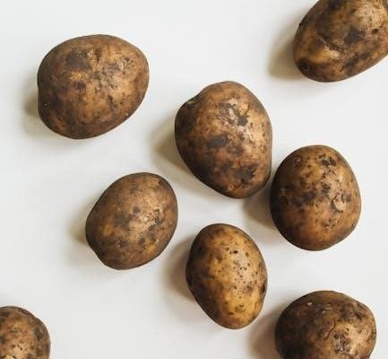 whole food list pdf
