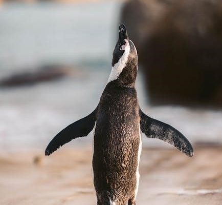 conservation biology pdf notes