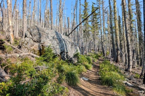 trekking checklist pdf