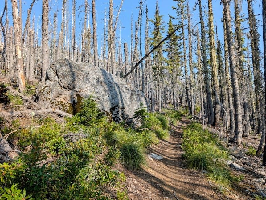 trekking checklist pdf